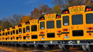 Buses